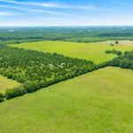 Property photo for land for sale in Red River County Texas