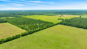 Property photo for land for sale in Red River County Texas