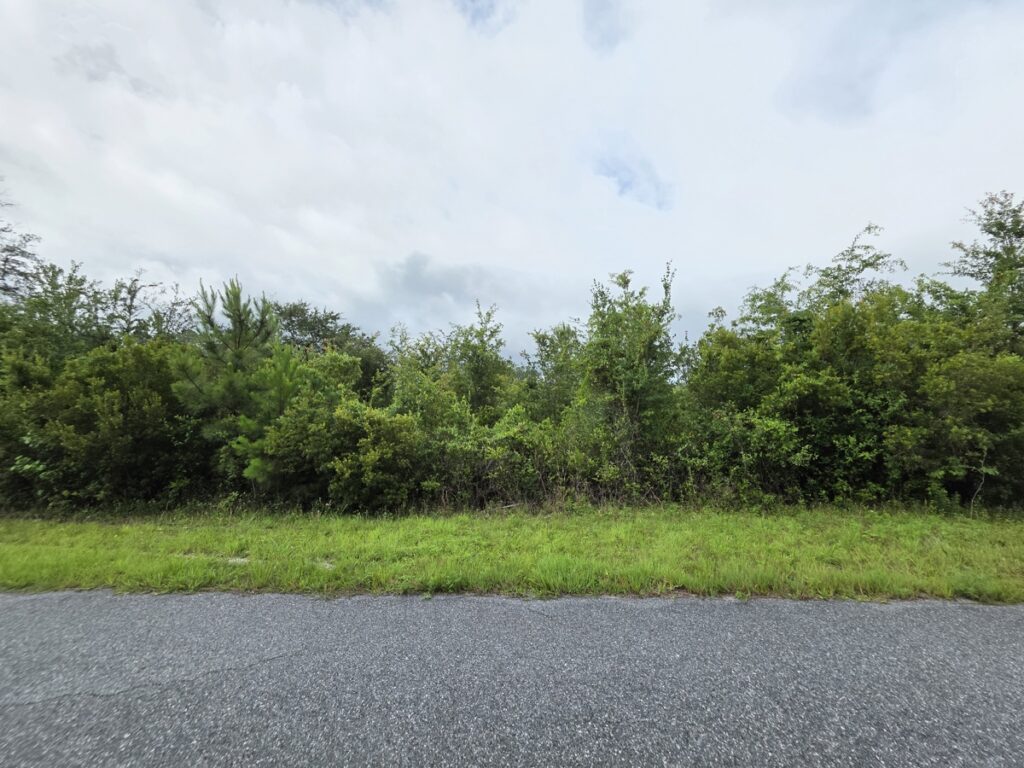 Property photo for land for sale in Columbia County Florida