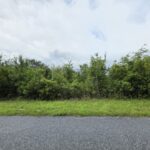 Property photo for land for sale in Columbia County Florida