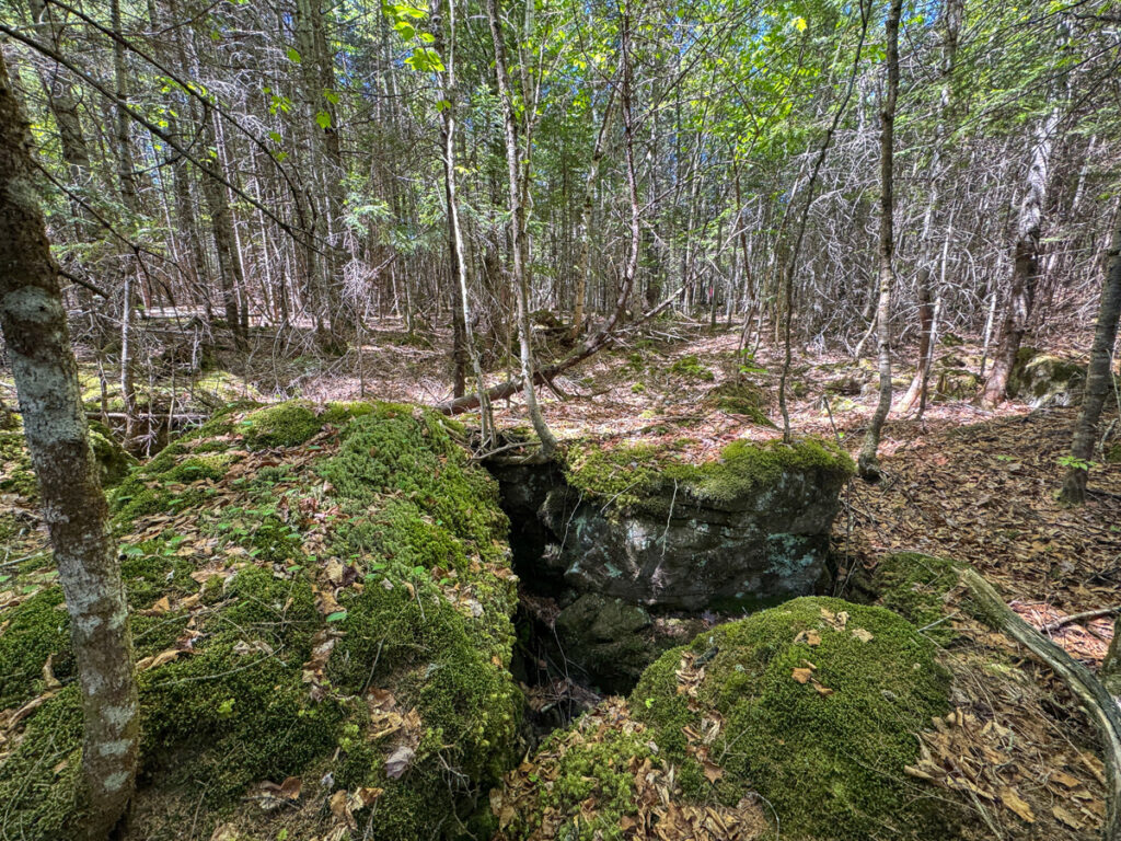 03b23889-b9e5-4978-8790-b72ccead9737.jpg