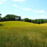 Property photo for land for sale in Cumberland County Kentucky