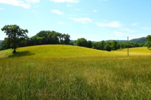Property photo for land for sale in Cumberland County Kentucky