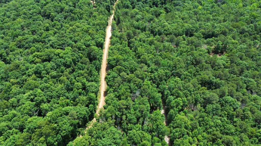 Property photo for land for sale in Stone County Arkansas
