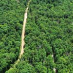 Property photo for land for sale in Stone County Arkansas