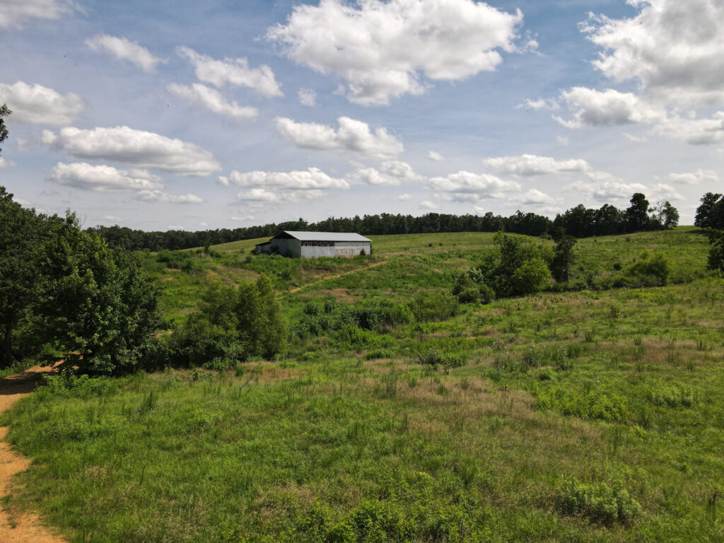 04a740bc-76d0-43a3-a76e-0576f2c6ef39.jpg