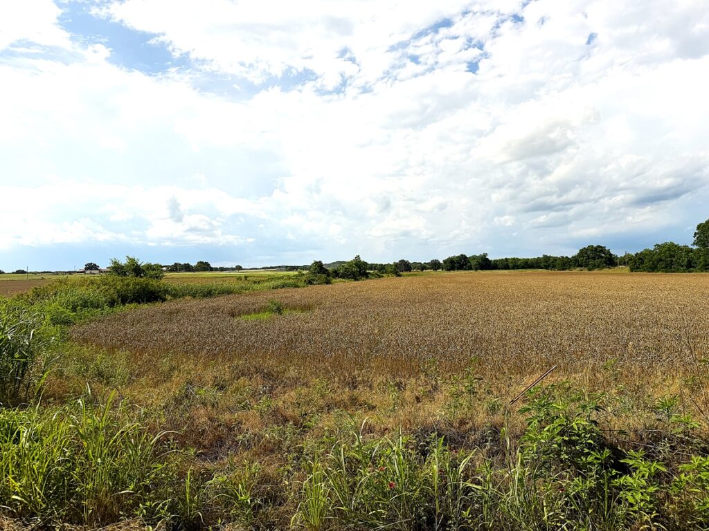 Property photo for land for sale in  County Texas