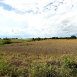 Property photo for land for sale in  County Texas