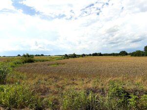 Property photo for land for sale in  County Texas