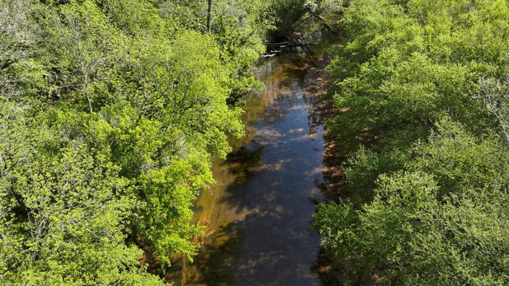 Property photo for land for sale in Amherst County Virginia
