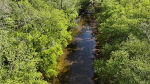 Property photo for land for sale in Amherst County Virginia