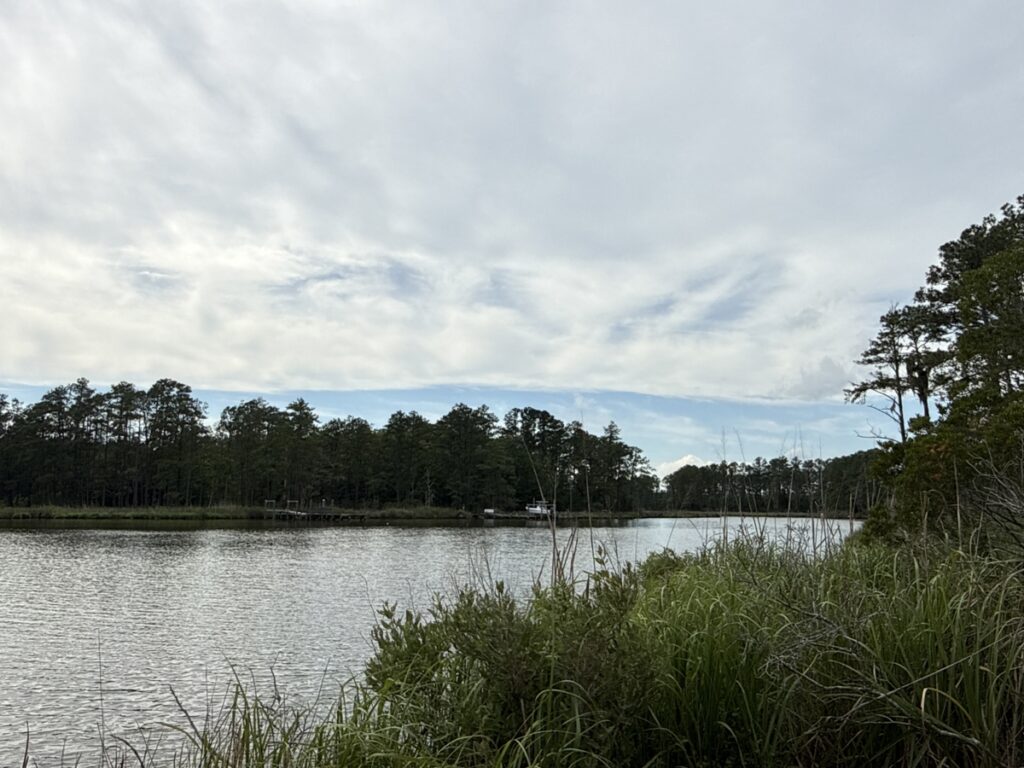 07605619-4d07-4a63-b938-e6601c4e23f5.jpg
