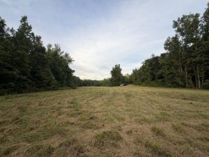 Property photo for land for sale in Benton County Tennessee