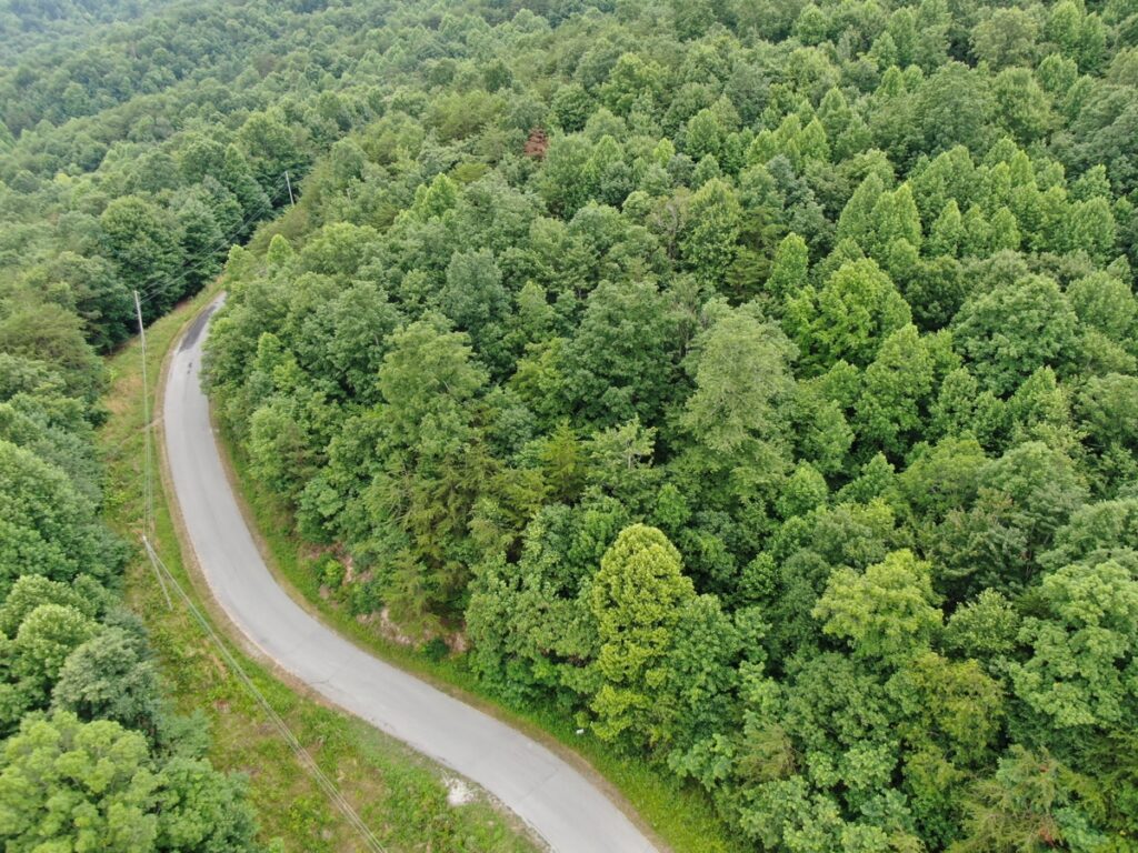 09f75785-768e-4486-84d0-bf4464c7b905.jpg