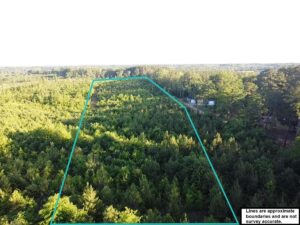 Property photo for land for sale in Charlotte County Virginia