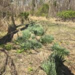 Property photo for land for sale in Montgomery County Virginia