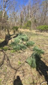 Property photo for land for sale in Montgomery County Virginia