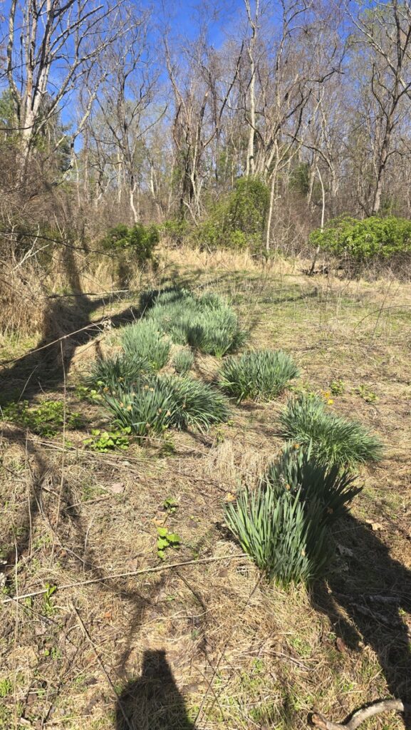 Property photo for land for sale in Montgomery County Virginia