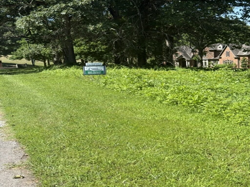 0b899ff9-00d2-40ac-939e-f18a4ccccce0.jpg
