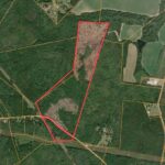 Property photo for land for sale in Effingham County Georgia