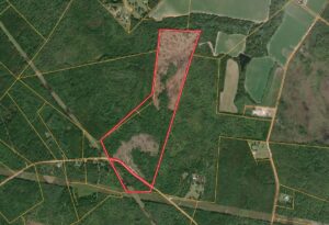 Property photo for land for sale in Effingham County Georgia