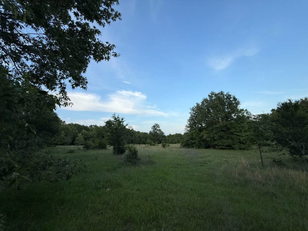 0dfefa06-e130-44db-976b-9f0c60398a4c.jpg