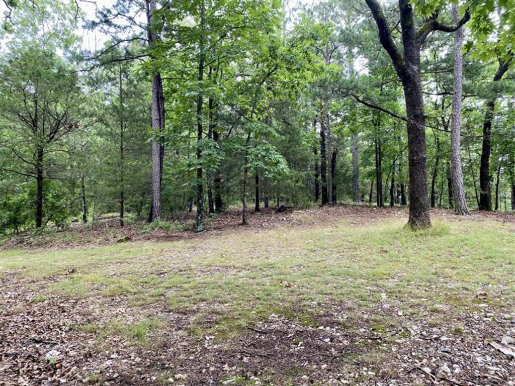 Property photo for land for sale in Carroll County Arkansas