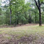 Property photo for land for sale in Carroll County Arkansas