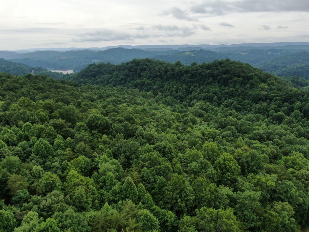Property photo for land for sale in Claiborne County Tennessee
