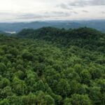 Property photo for land for sale in Claiborne County Tennessee