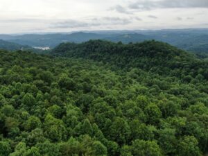Property photo for land for sale in Claiborne County Tennessee