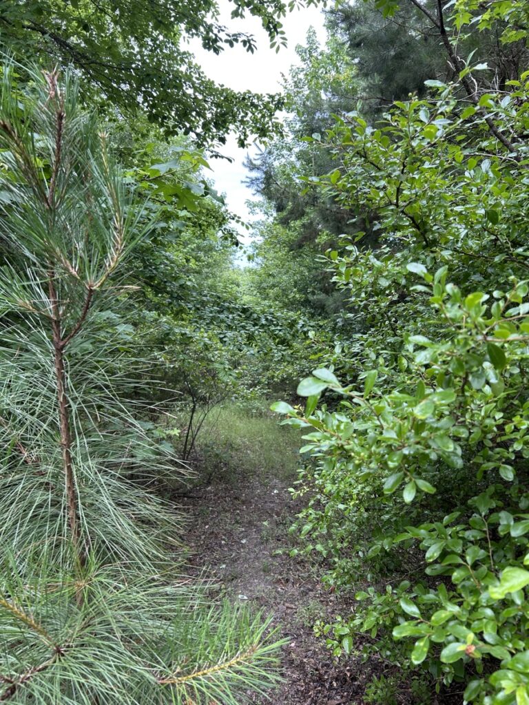 10729d82-d001-4d5c-8c3d-098302643783.jpg