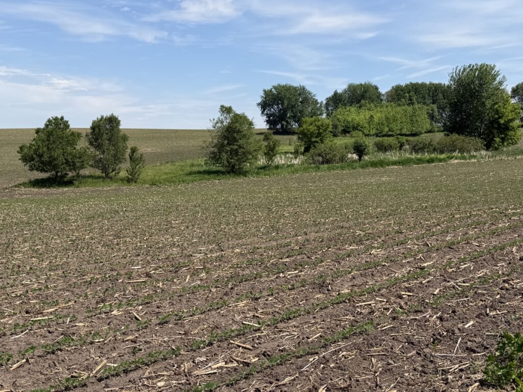 10da7717-d061-4653-9474-f36eaa5fd9b8.jpg