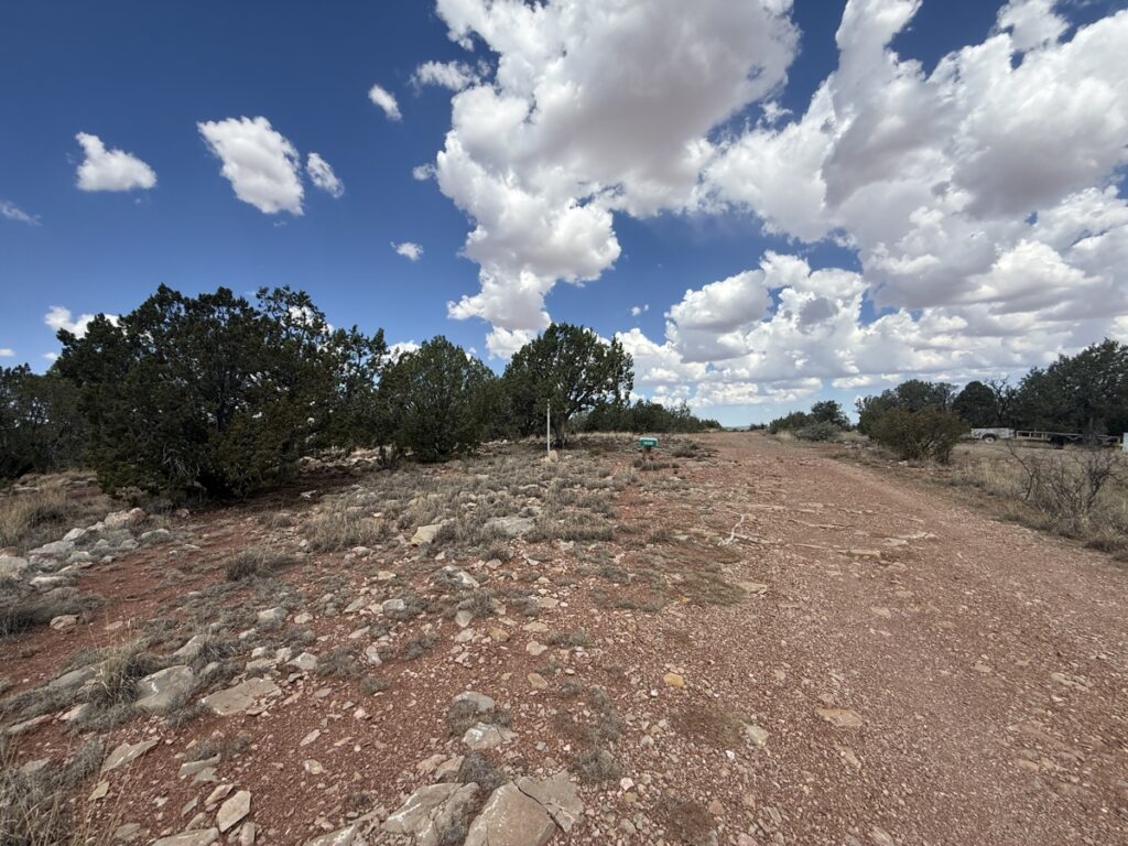 136ab882-029e-49fd-bc5e-e403bb2b8666.jpg