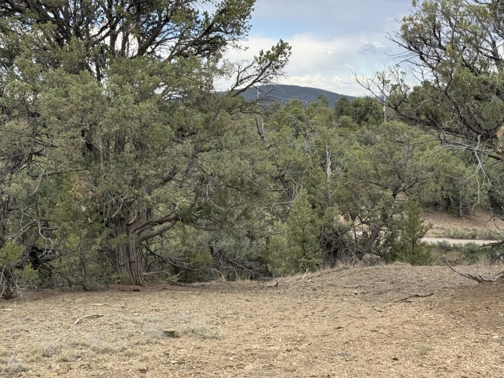 Property photo for land for sale in Rio Arriba County New Mexico