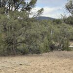 Property photo for land for sale in Rio Arriba County New Mexico