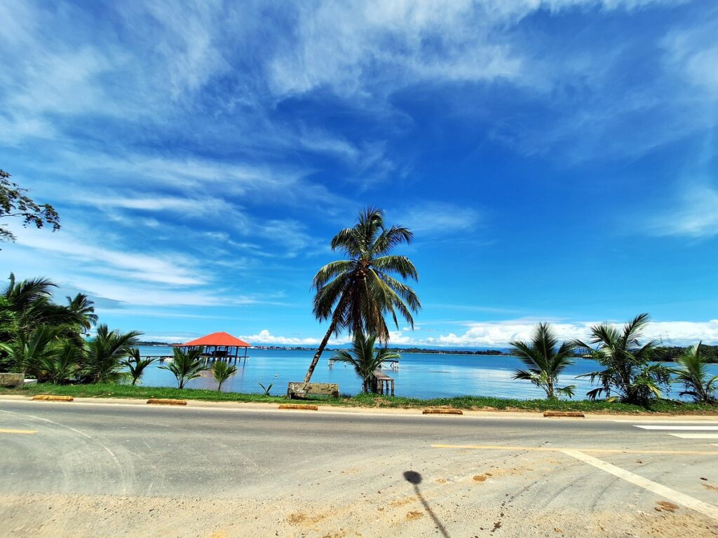 15cf3a73-2fe6-4fca-9f08-08ac2a78f0c2.jpg