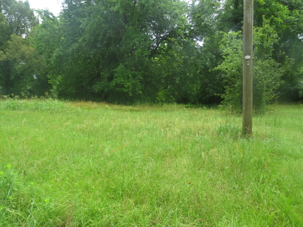 Property photo for land for sale in Bowie County Texas
