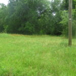Property photo for land for sale in Bowie County Texas