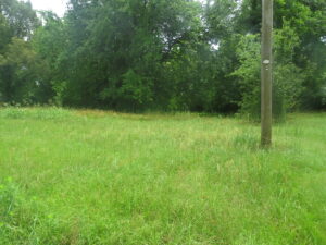 Property photo for land for sale in Bowie County Texas