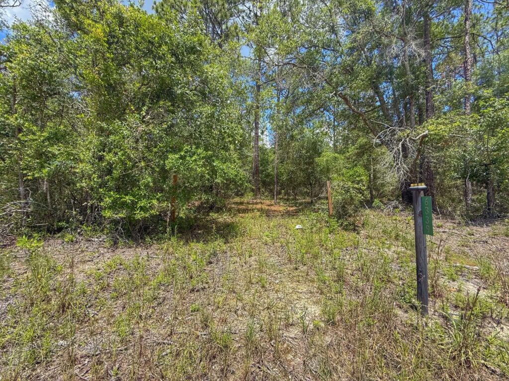 Property photo for land for sale in Gilchrist County Florida