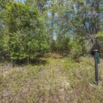 Property photo for land for sale in Gilchrist County Florida
