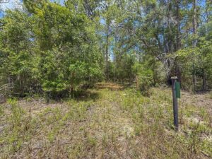 Property photo for land for sale in Gilchrist County Florida