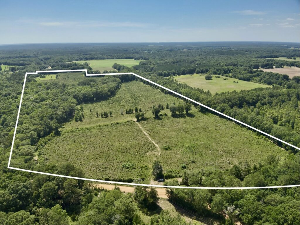Property photo for land for sale in Geneva County Alabama