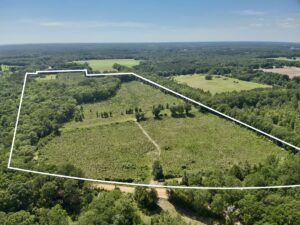 Property photo for land for sale in Geneva County Alabama