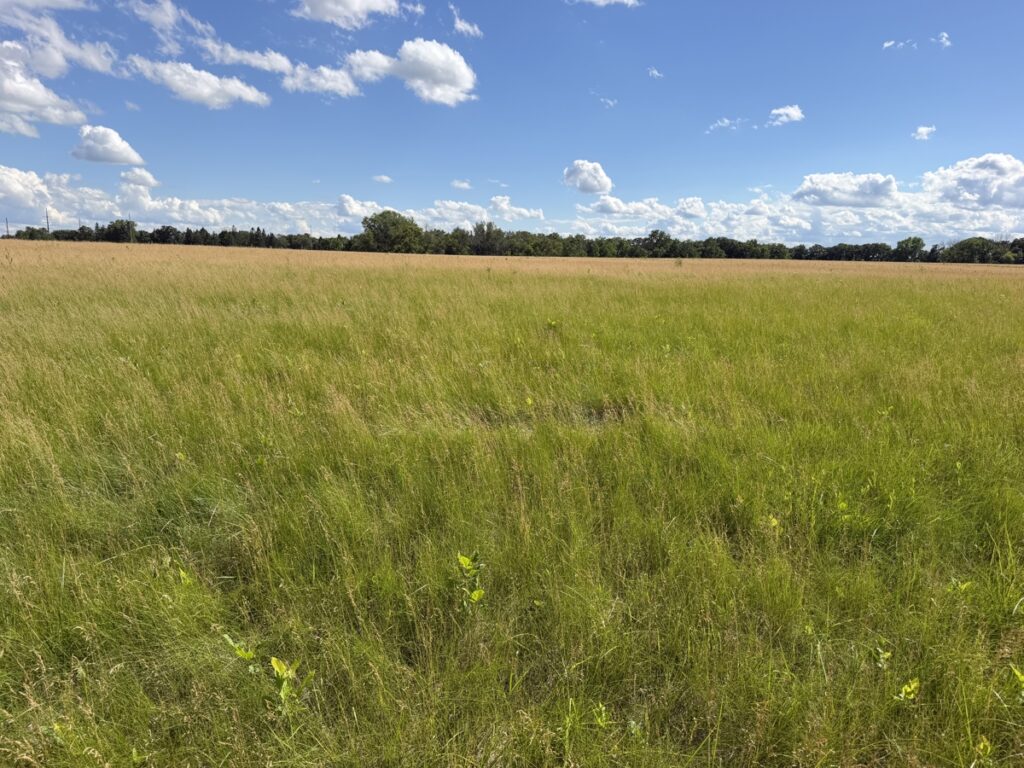 18f432ec-23f0-4f76-8949-a9837b2abae4.jpg