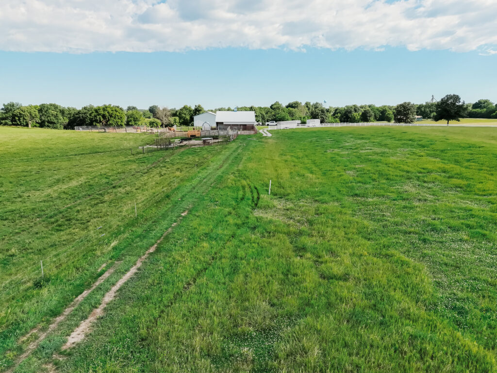 1931479d-711c-4665-9067-a0596dec2996.jpg