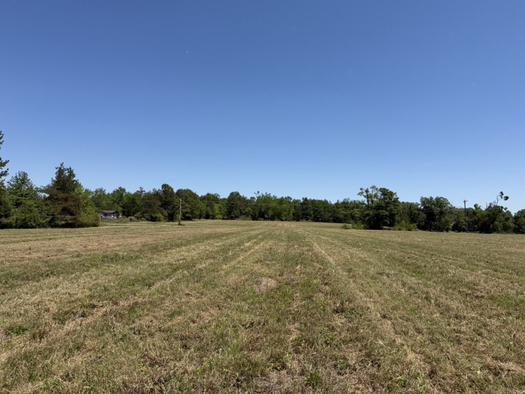 1960a258-e49f-4826-bfd8-d9ca0f6d249b.jpg