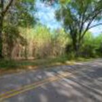 Property photo for land for sale in Columbia County Florida