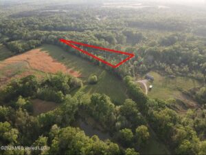 Property photo for land for sale in Hinds County Mississippi